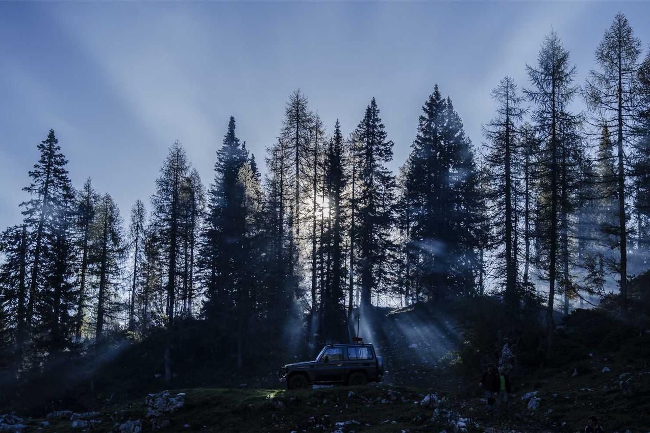 Assumenda quas fugiat quam mollitia perferendis